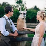 Skipbridge Farm Glamping ヨーク