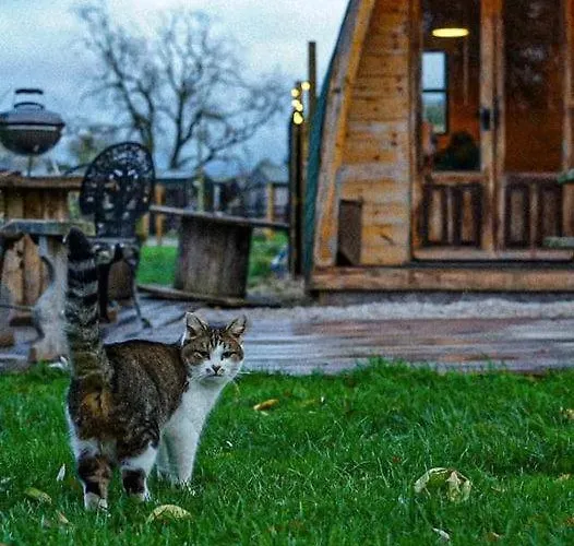 Skipbridge Farm Glamping *