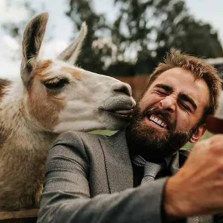 Skipbridge Farm Glamping Campsite York