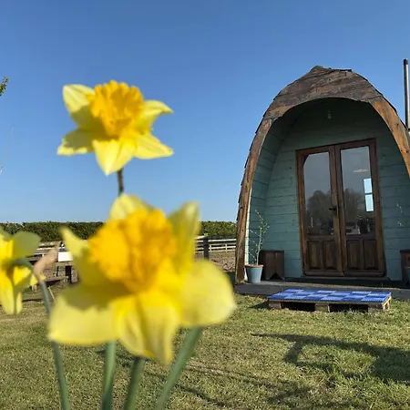 Camping Skipbridge Farm Glamping