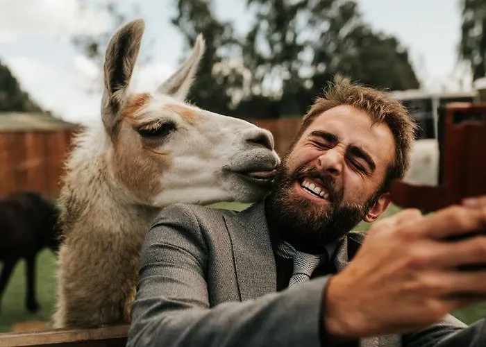 Skipbridge Farm Glamping Campingplatz York