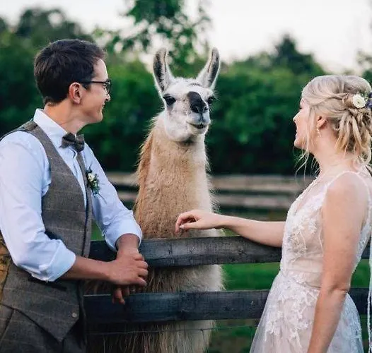 Skipbridge Farm Glamping يورك