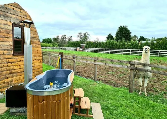 Skipbridge Farm Glamping *