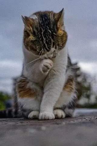 Skipbridge Farm Glamping * يورك