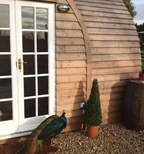 Skipbridge Farm Glamping * يورك