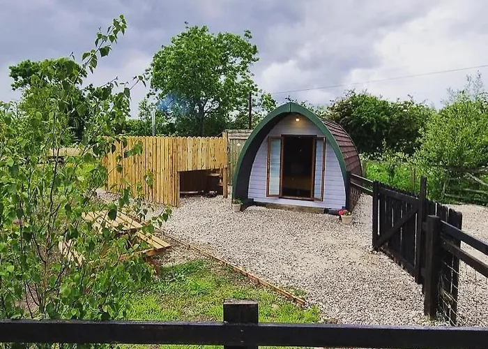 مكان تخييم Skipbridge Farm Glamping يورك