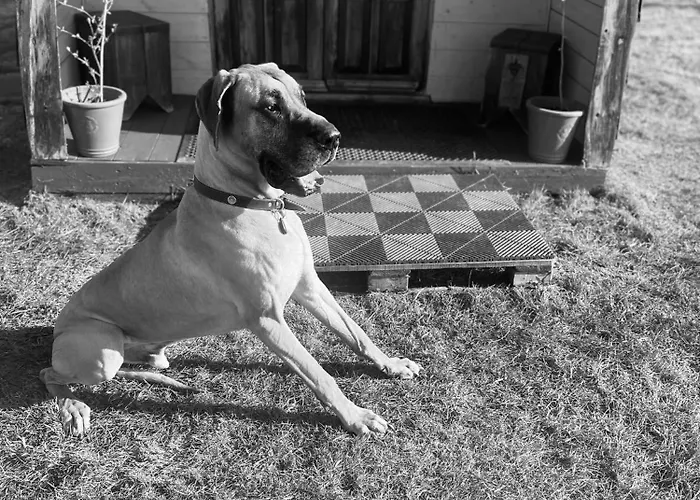 Skipbridge Farm Glamping *