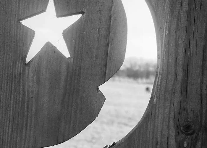 Skipbridge Farm Glamping * يورك