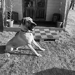 Skipbridge Farm Glamping *