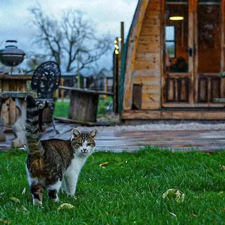 Skipbridge Farm Glamping *