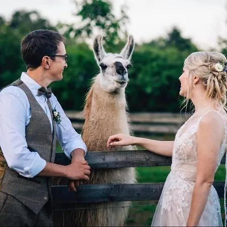 Skipbridge Farm Glamping 요크