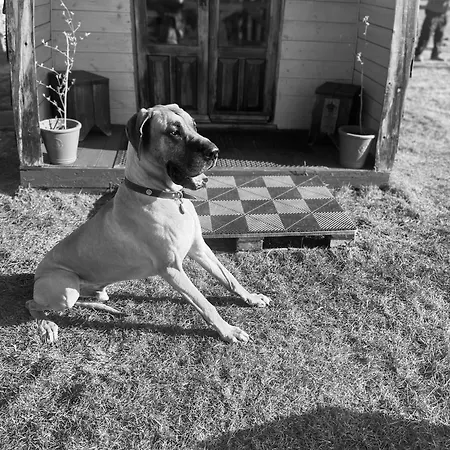 Skipbridge Farm Glamping *