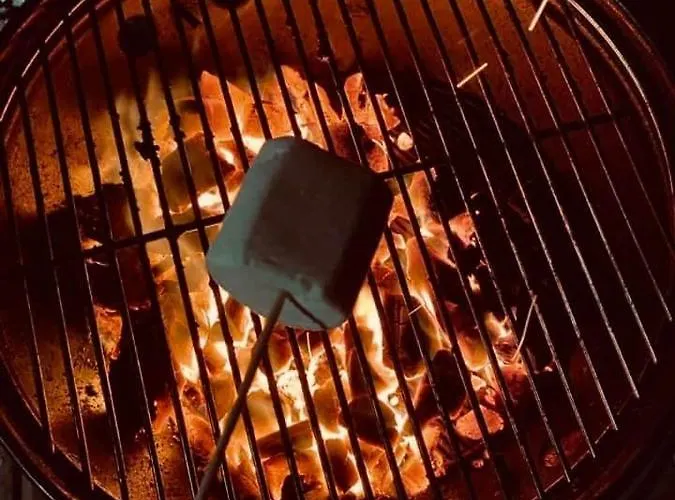 Skipbridge Farm Glamping Camping